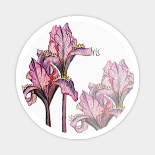 Iris Watercolor Flower Magnet